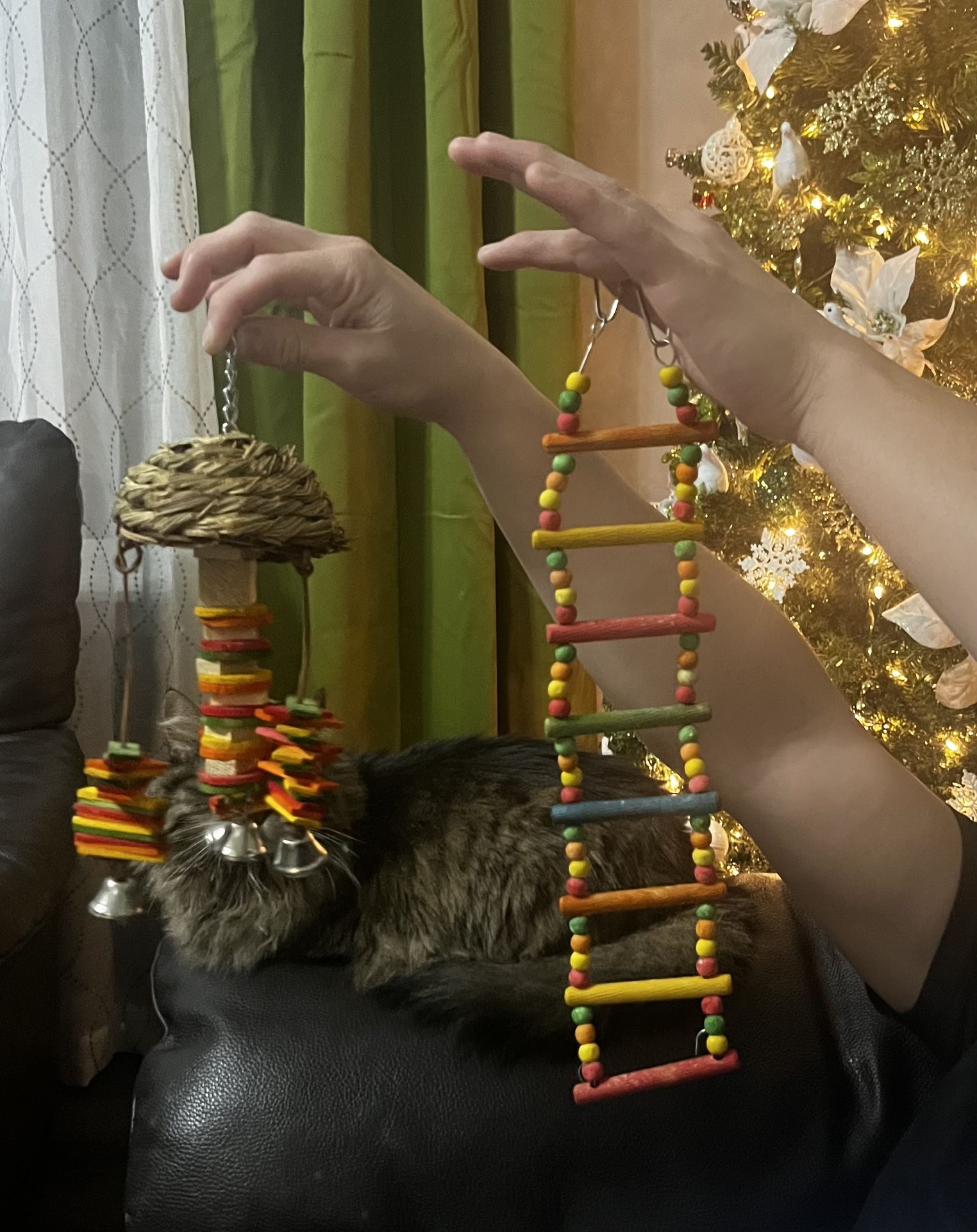 Bird Toys