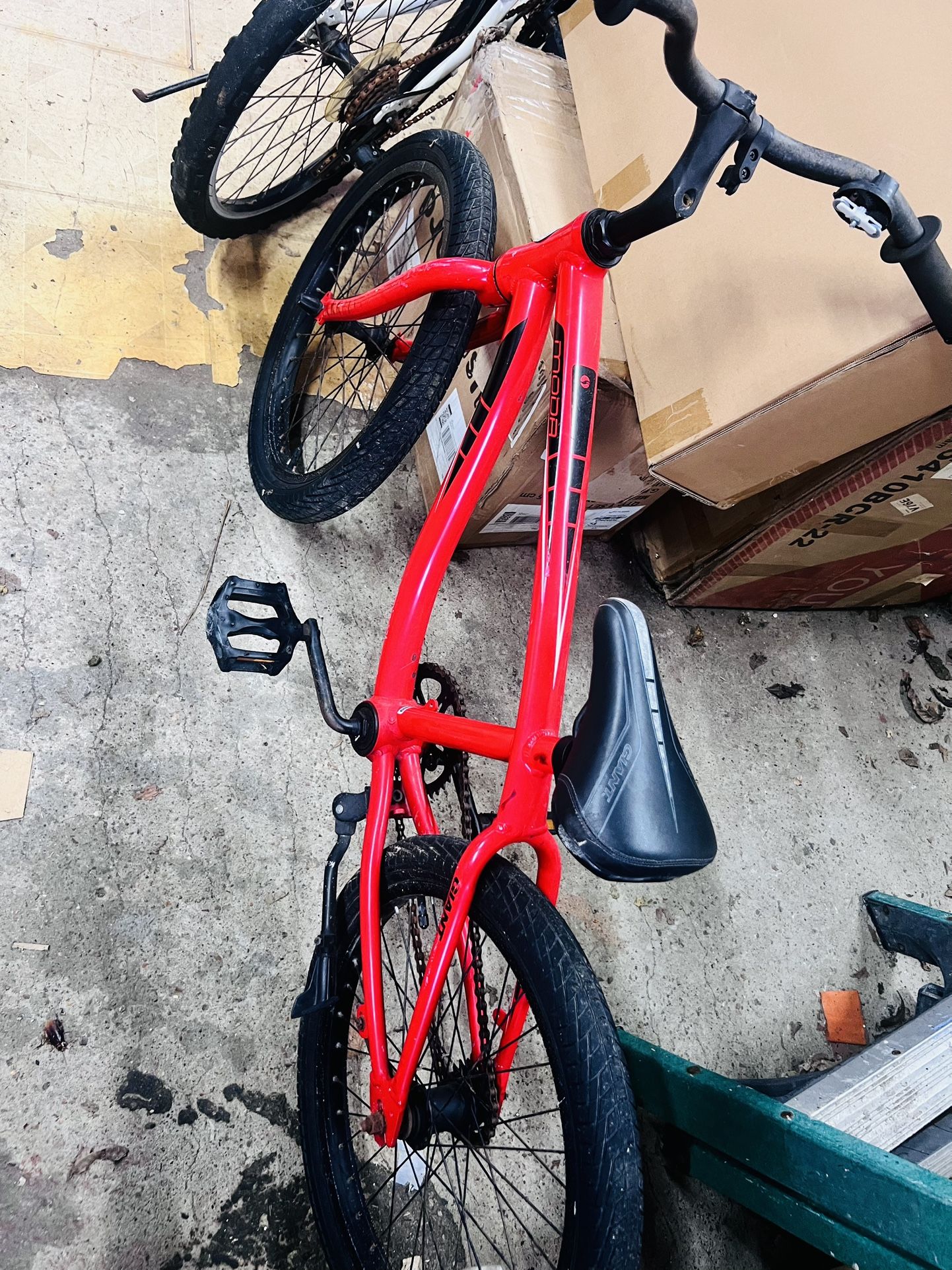 20”moda Giant Bike 