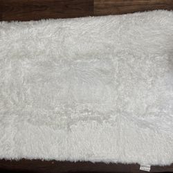 Fluffy Area rug