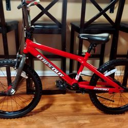 20" Youth BMX Bike