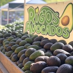 Come by and pick up Rigo's Fresh Organic Avocados 🥑 👌 $1.50 Each