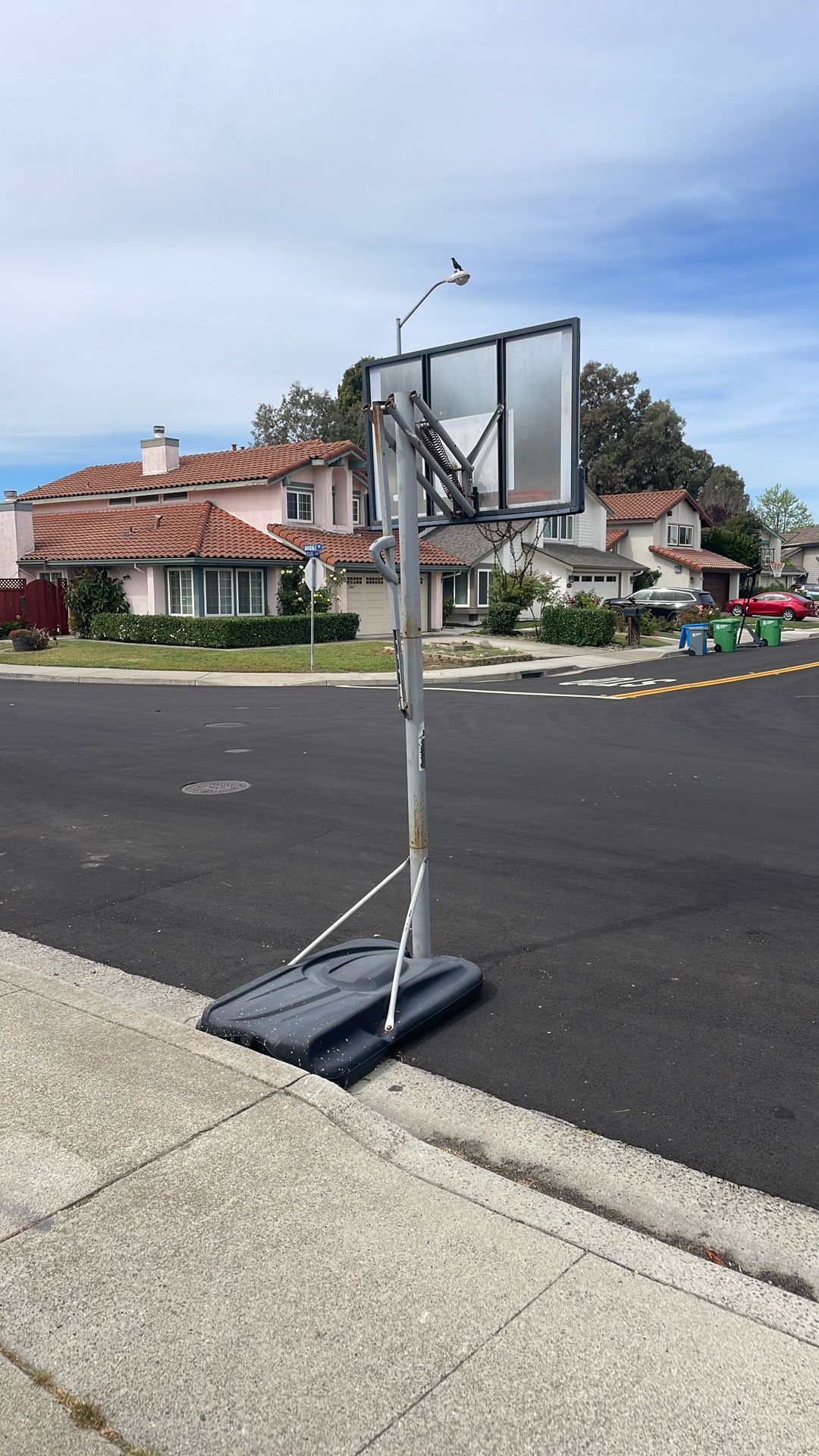 10 Ft Basketball Hoop (Adjustable)