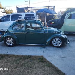 VW Bug 