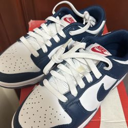New Nike Dunk Low Valerian Blue