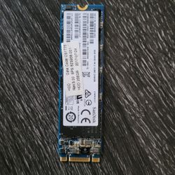 256GB M.2 SATA SSD - Internal Solid State Drive