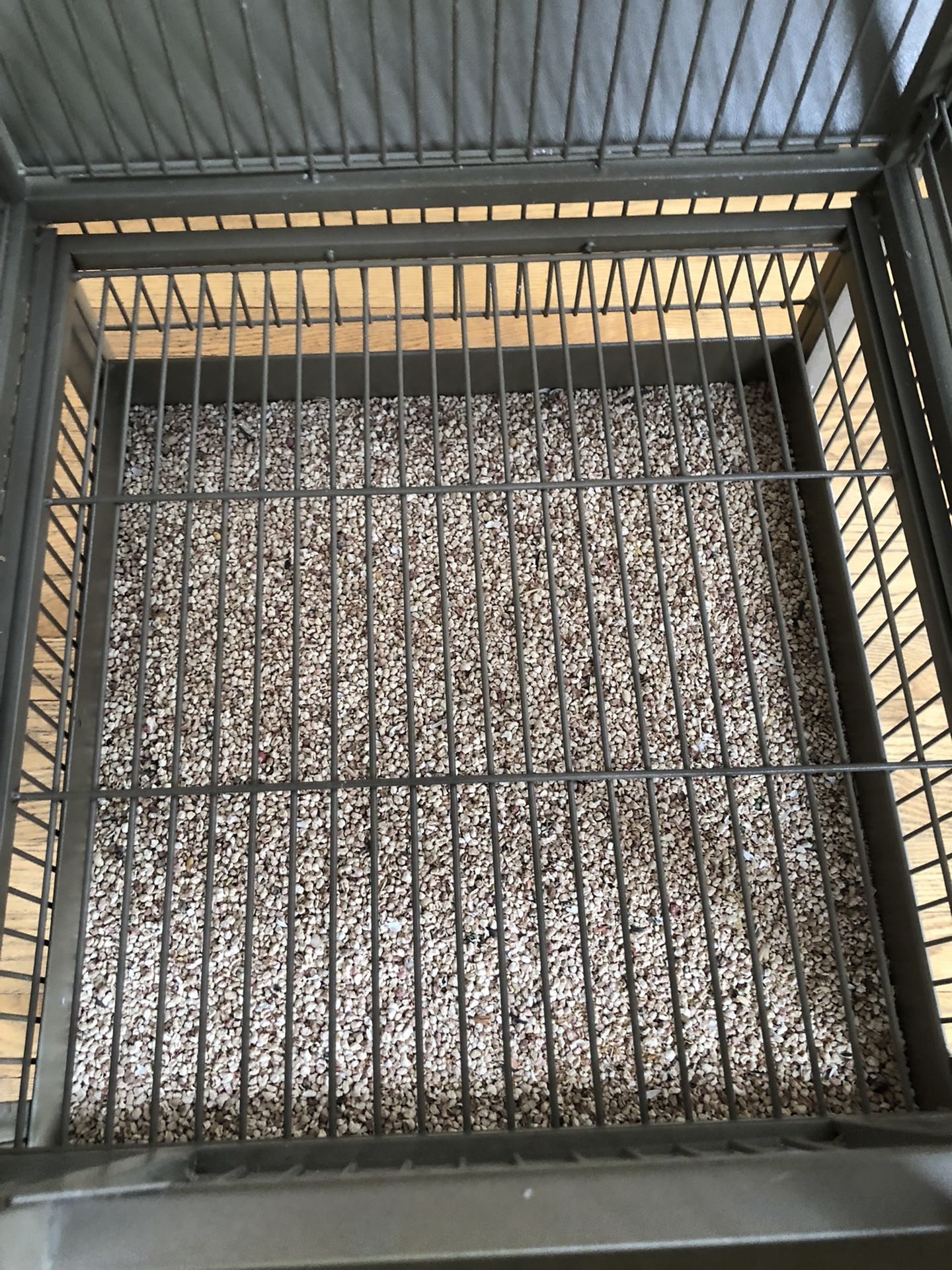 Wrought Iron Bird Cage. OBO