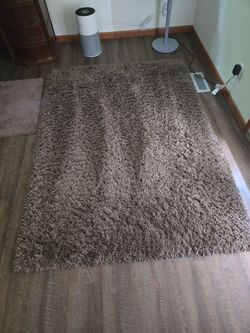 Thomasville shaggy rug