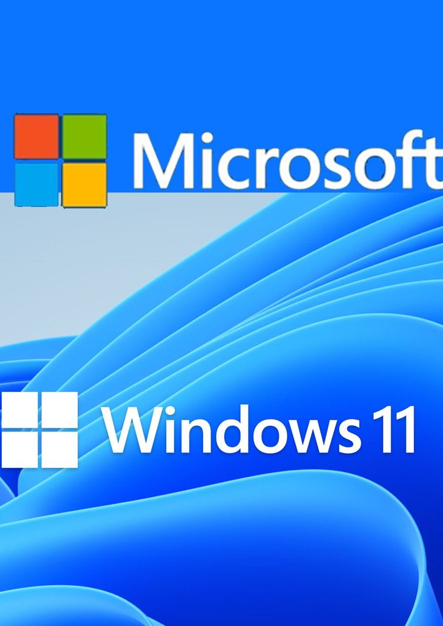 Windows 11 Pro 1pc OEM