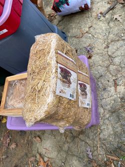 2 bales of craft hay 15 both wooden nativity scene needs painted