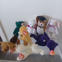ty /stuffed