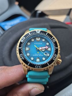 Citizens watch