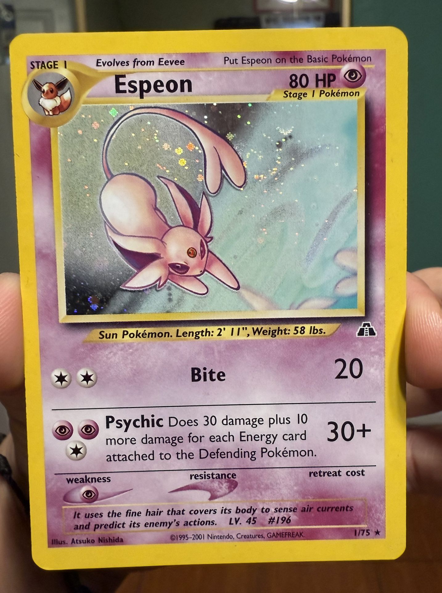 Vintage Pokemon Cards!!