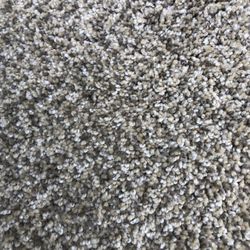 Carpet
