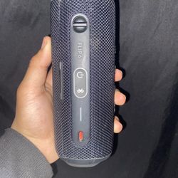 JBL Flip 6 