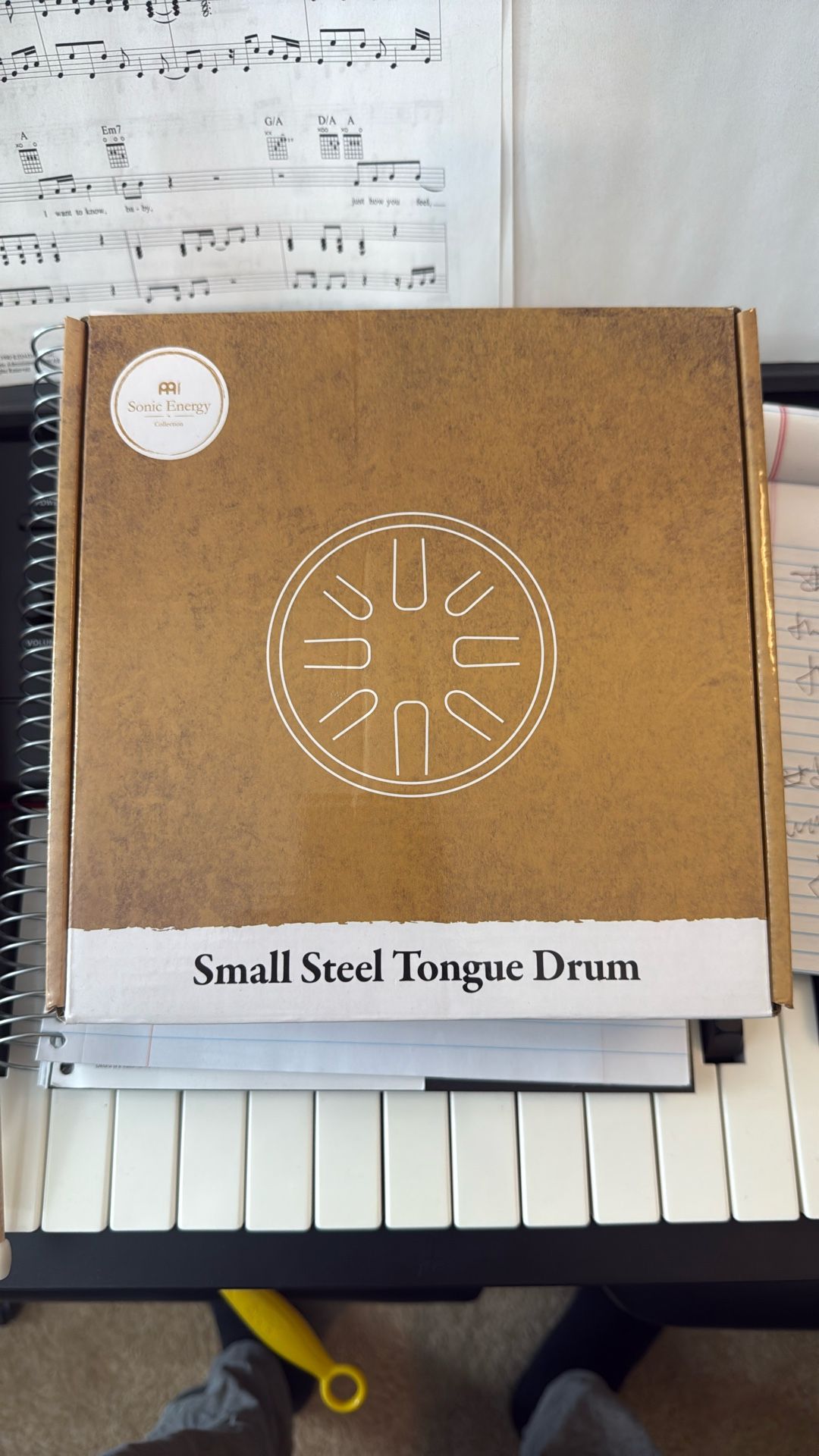 Sonic Energy Steel Drum