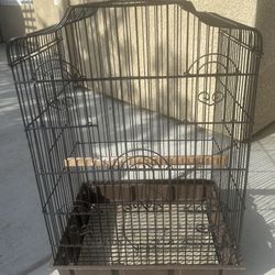 Bird Cage