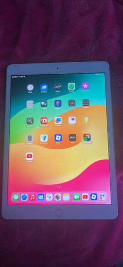 iPad come with charger