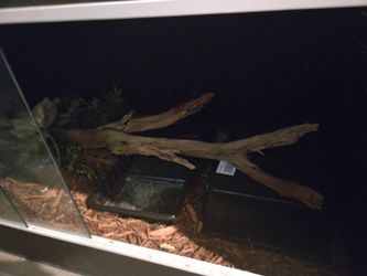 Reptile Enclosure (Large)