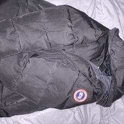 Canada Goose