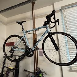 Specialized Road Bike 