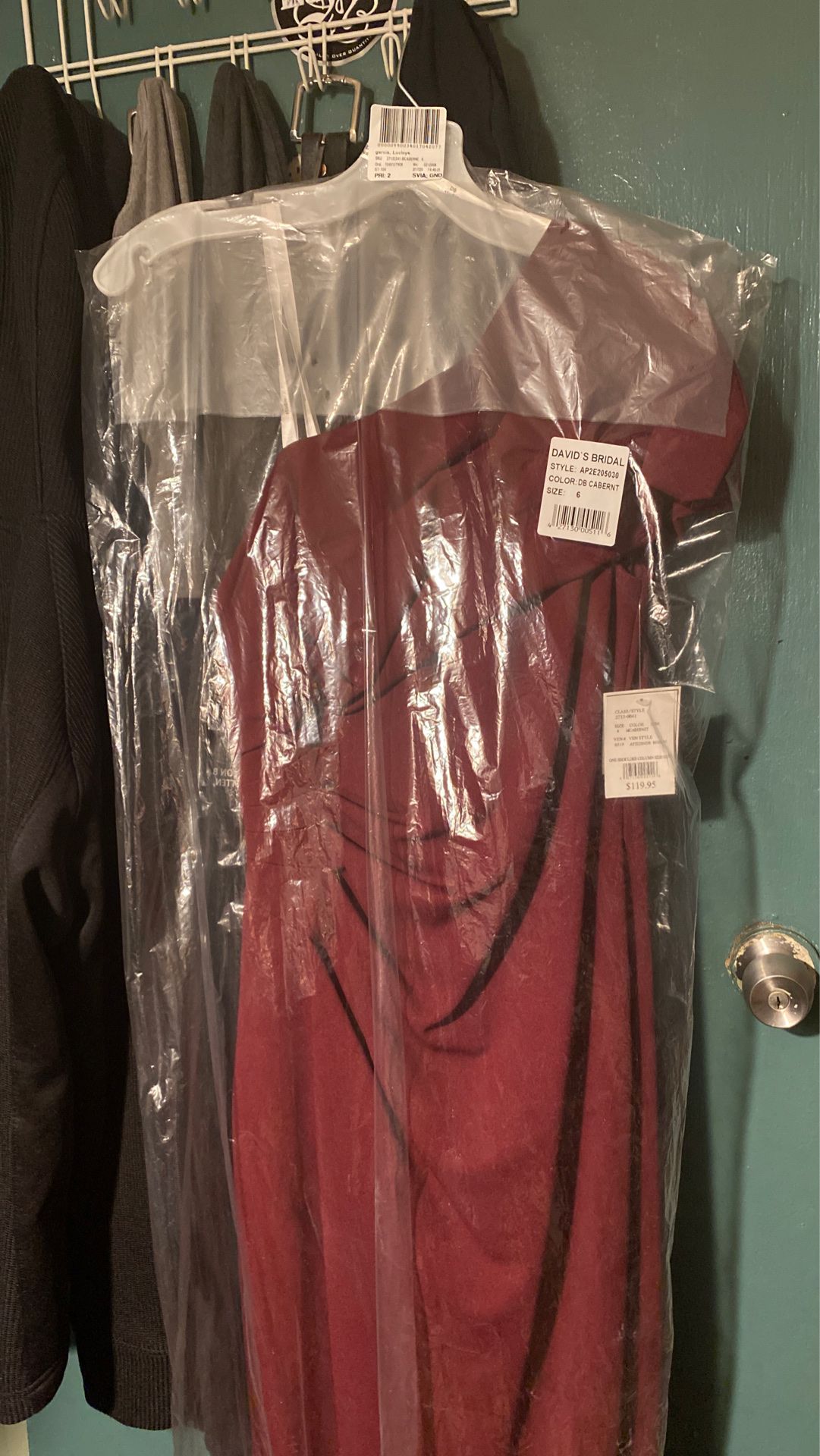 David’s Bridal formal dress