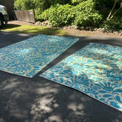 Outdoor Mats/Rugs