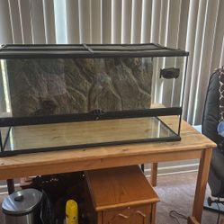 Glass Keeper- Snake. Reptile