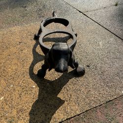 Iron Dog Bowl Holder