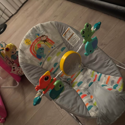 Baby Bouncer