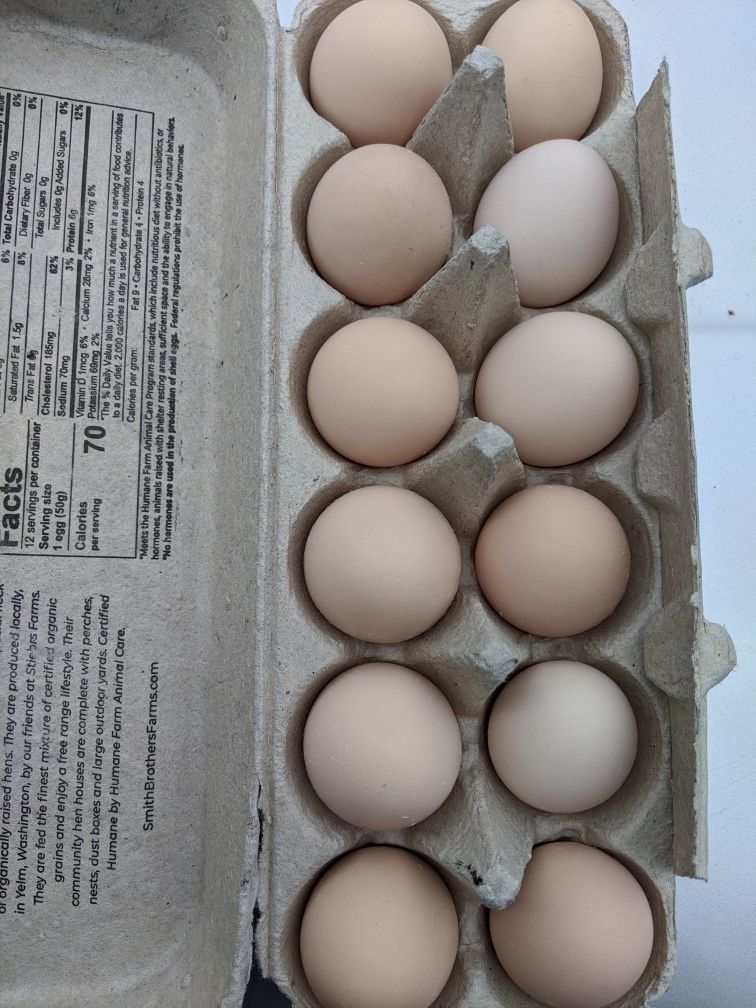 Fresh Eggs - delicious and healthy