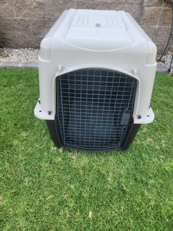 Large Plastic Pet Crate