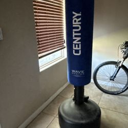 Punching Bag Freestanding