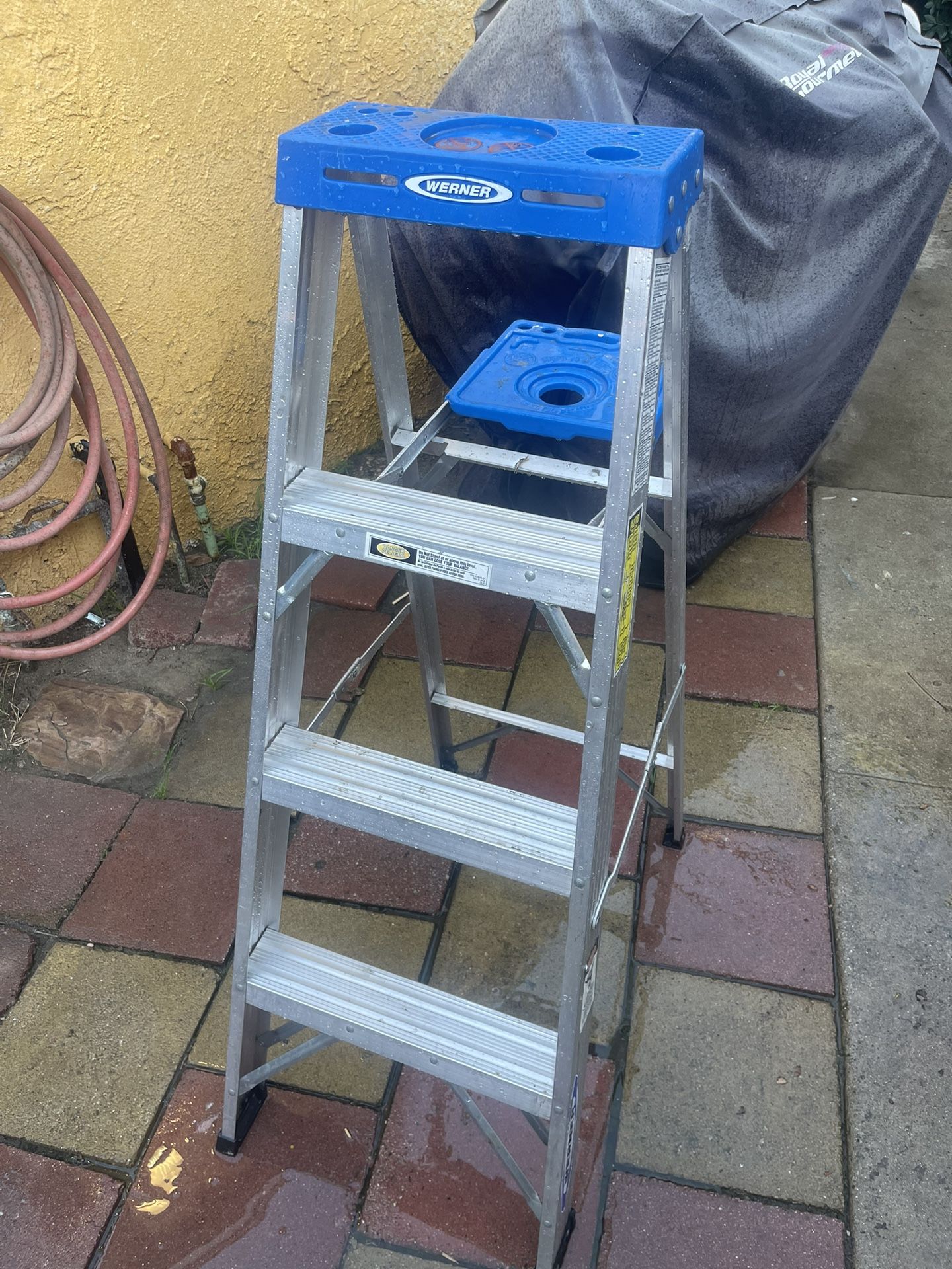 Werner Ladder