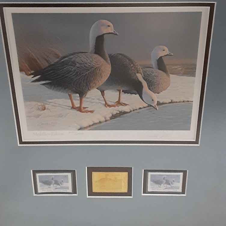 REDUCED 1985 Limited Edition 640/2450 Alaska Waterfowl First Of State Duck Stamp Framed Print, Signed Smith Stamp and Print-Gold Medallion Edition