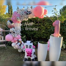 Birthday Balloons Baby Shower Balloons 