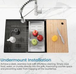 KITCHEN SINK