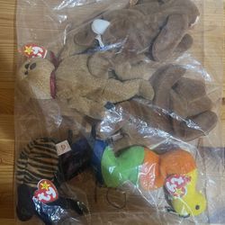 TY Beanie Baby Lot Of 5 Curly the Bear, "Cubbie" brown bear, Spinner the Spider, EARS the Bunny RABBIT, "Inch" The Worm  Used Good Condition $20 Meet 