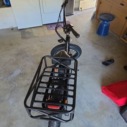 Rad 2 Electeic Bike