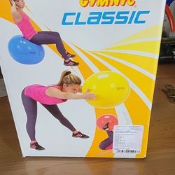 Exercise Ball