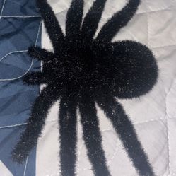Halloween Spider Decoration  