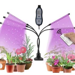 Grow Lights For Plants