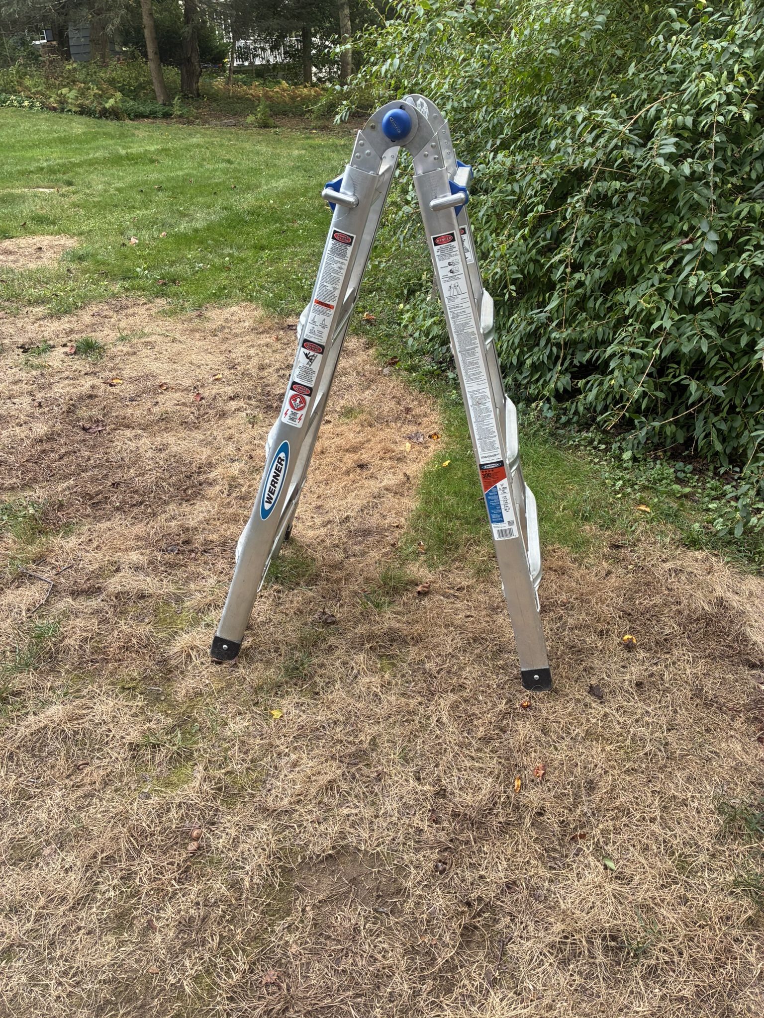 Werner MT-17 17’ Ladder