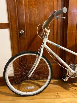 Biotech Murray bike