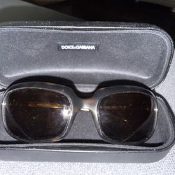 Dolce & Gabbana Sunglasses 