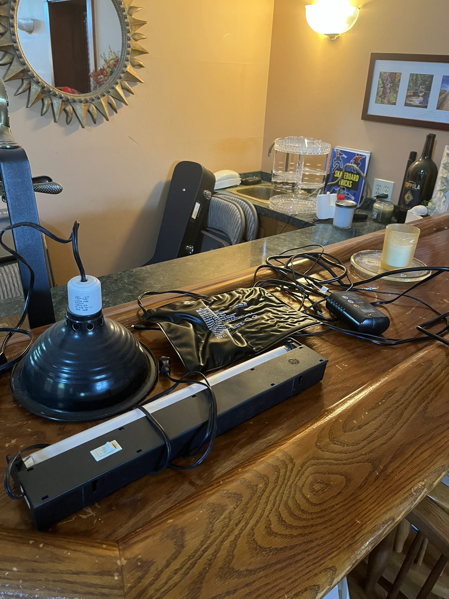 Reptile Supplies (lighting + Fixtures And A Heat Mat)