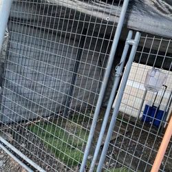 Dog Kennel 