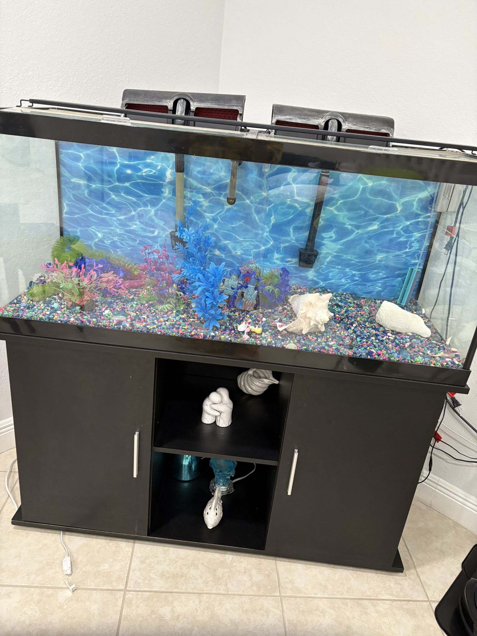 fish tank