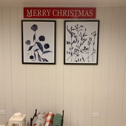 Botanical / Floral Wall Art