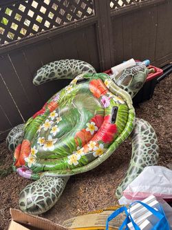 Turtle float