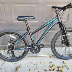 24-in Schwinn Disc Brake